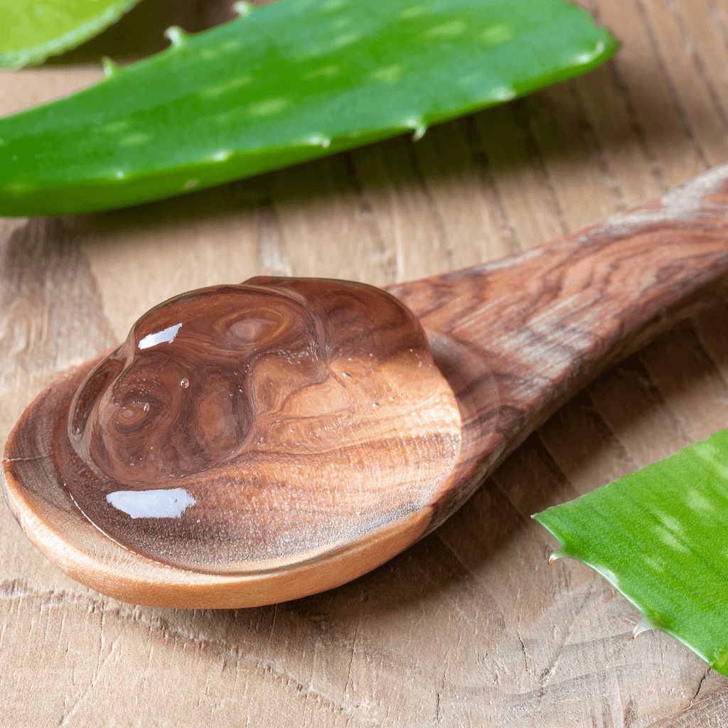 Aloe Vera Shock Therapy: A Natural Treatment for GI Pain