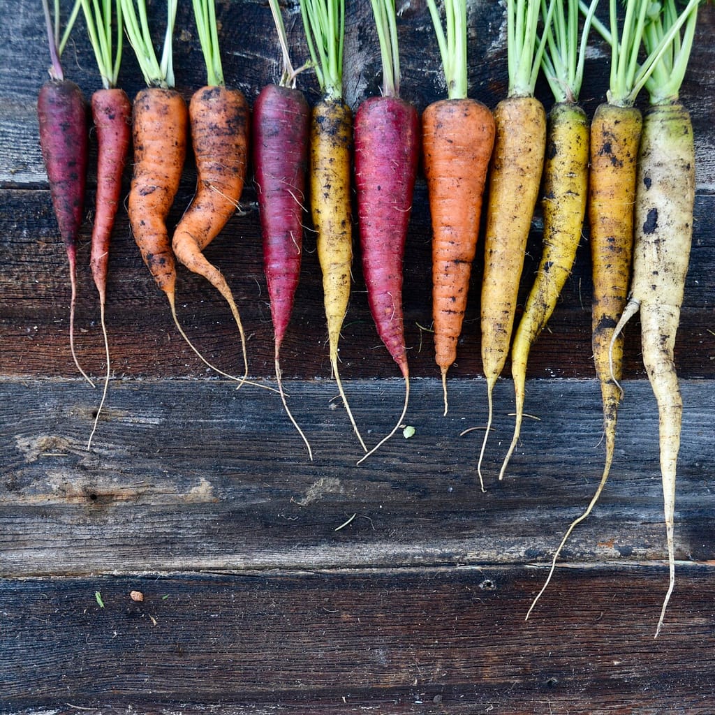 Five Rainbow Carrots + their surprising health benefits