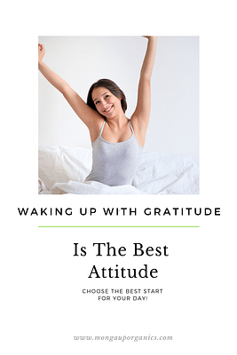 Waking Up To Gratitude