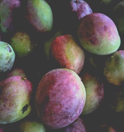 Uncovering the Incredible Health Benefits of Mango
