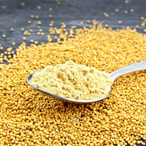 Healing benefits of mustard seeds + Mustard detox bath recipe