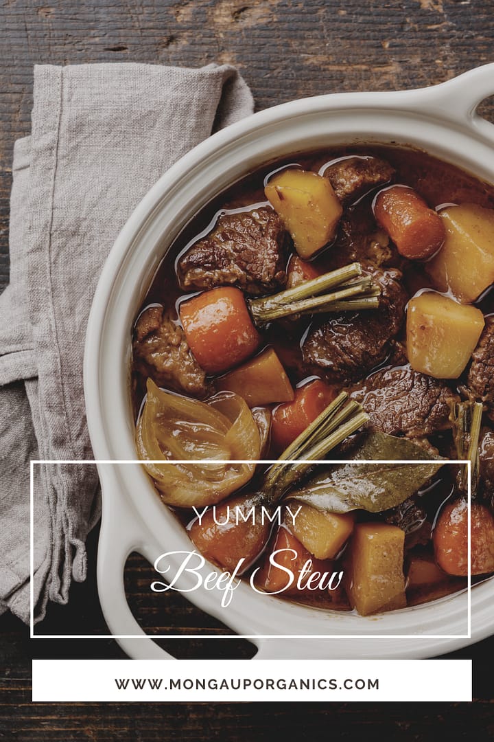 Yummy Beef Stew with Carrots + Potatoes